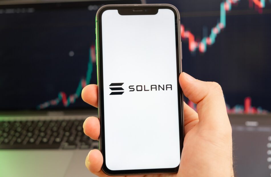 Dyrektor Bitwise widzi dwie możliwości rozwoju w Solana Network