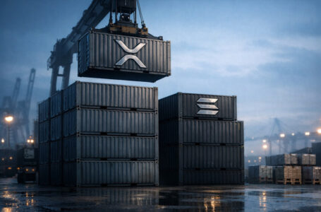 XRP Ledger wyprzedza Solanę pod względem wartości tokenizacji aktywów rzeczywistych