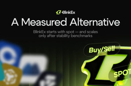BlinkEx investment platform infrastructure – matching, risk controls, reliability